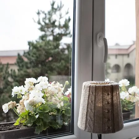 Rose Garden Appartamento Decin