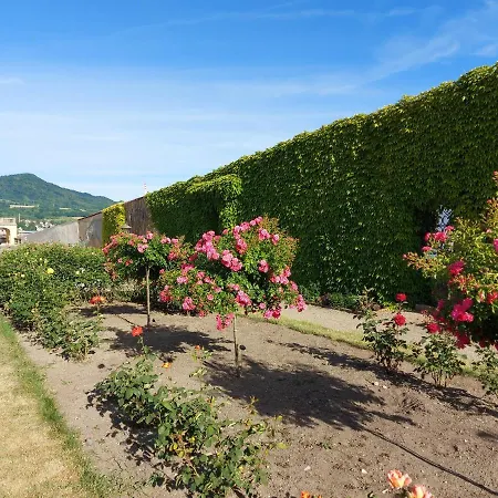 Apartment Rose Garden