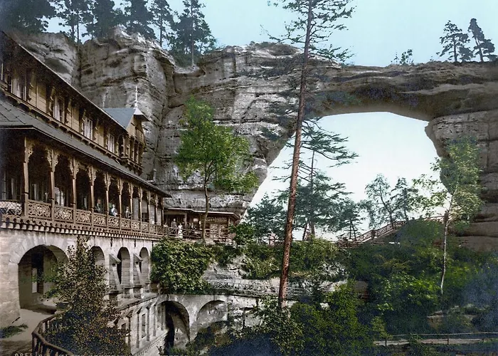 Rose Garden
